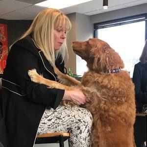 Meet your Posher, Catherine